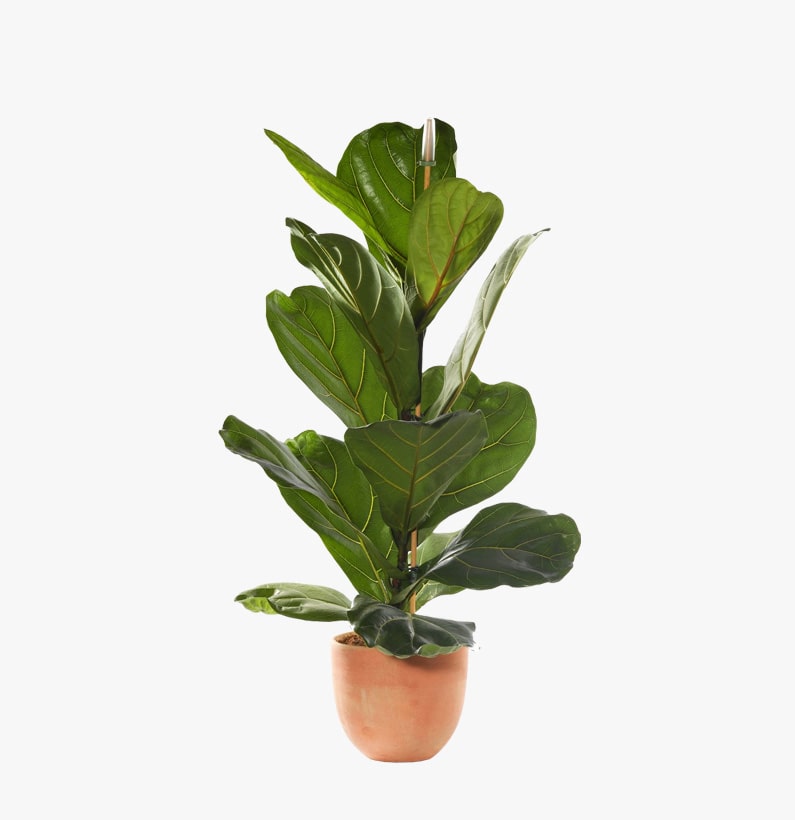 retail-img-map-product-4-opt